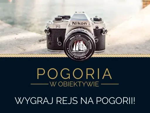 Wygraj lustrzankę: Gdzie szukać konkursów i jak wygrać?